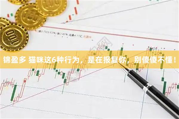 锦盈多 猫咪这6种行为，是在报复你，别傻傻不懂！
