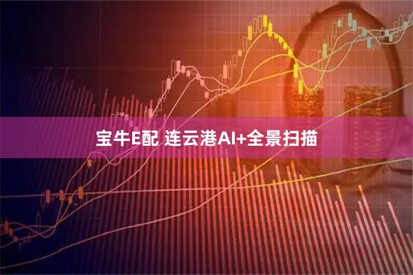 宝牛E配 连云港AI+全景扫描